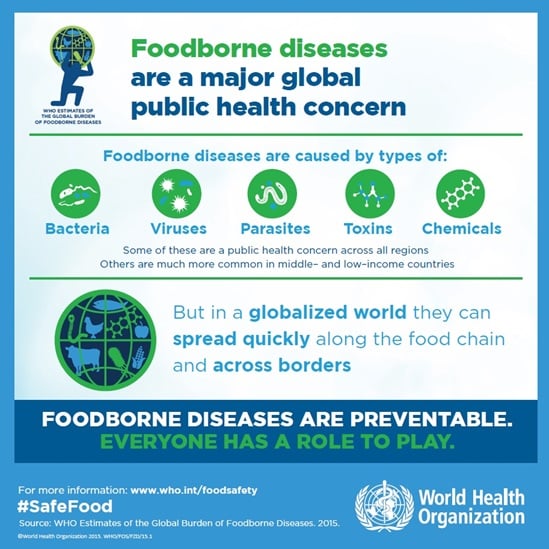 Foodborne diseases are a major global public health concern infographics