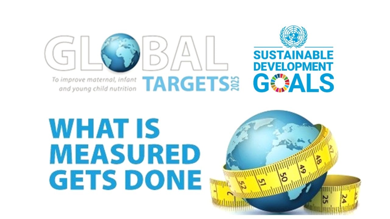 Global Nutrition Targets Tracking tool logos
