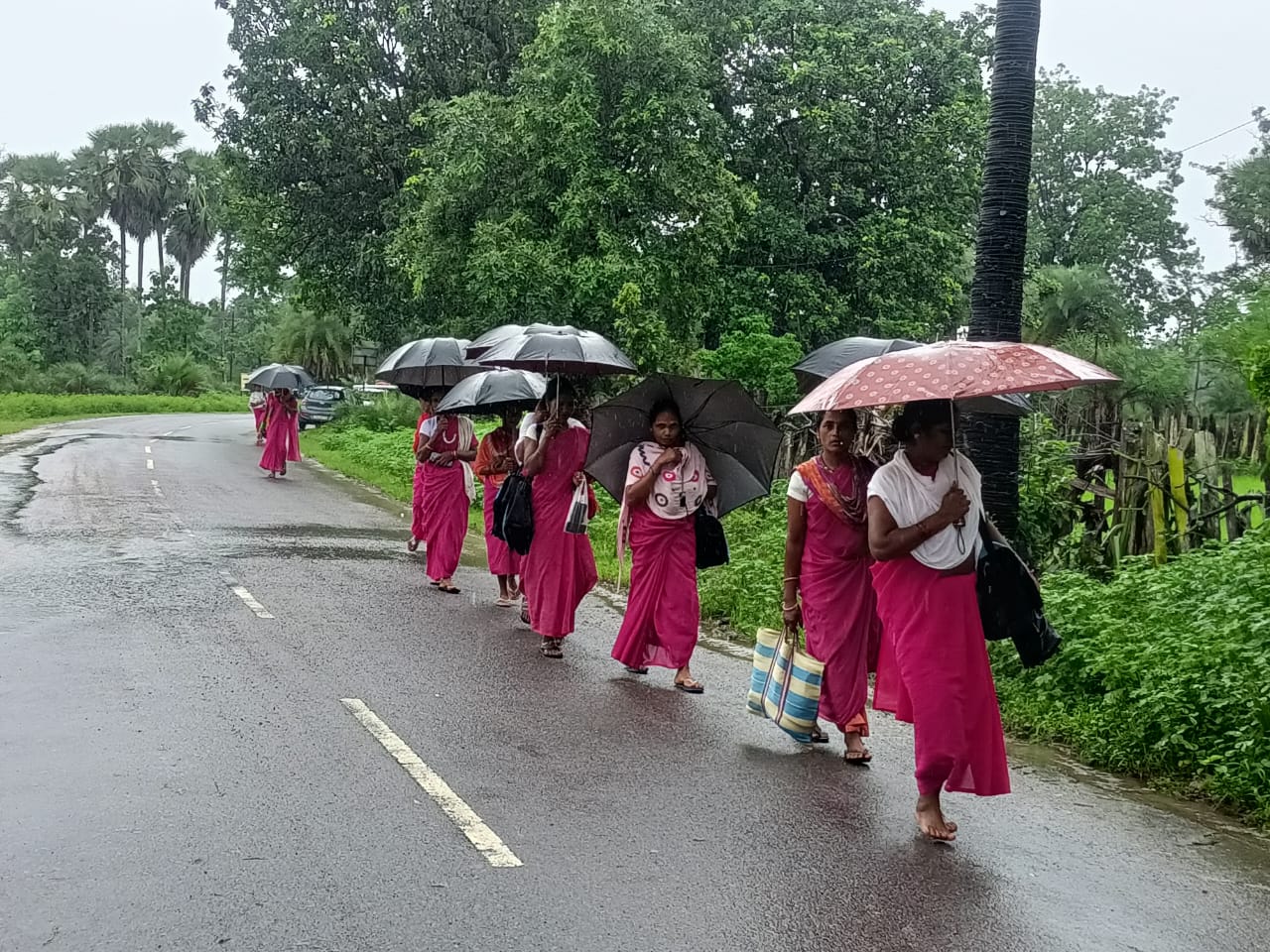 Mitanins of Sukma districts  going to their communities after training