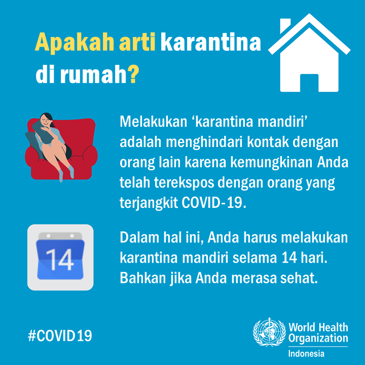 Home Quarantine 2 - BI