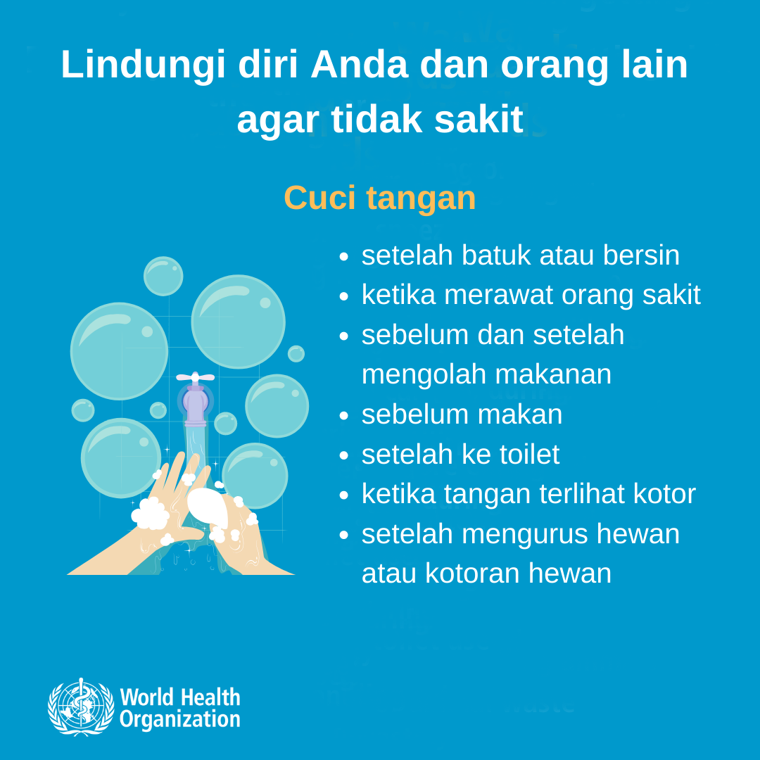 infograph emergency corona 2 indo