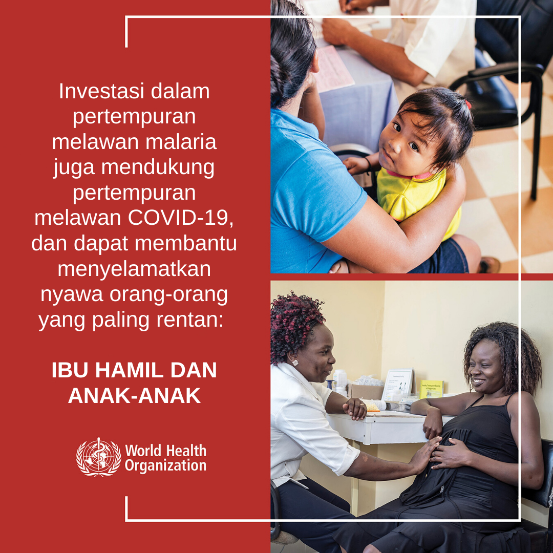 The fight against malaria - BI